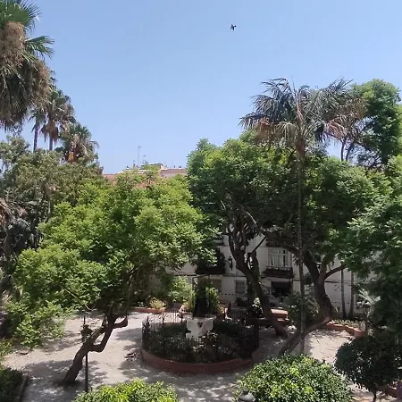 Center Estepona